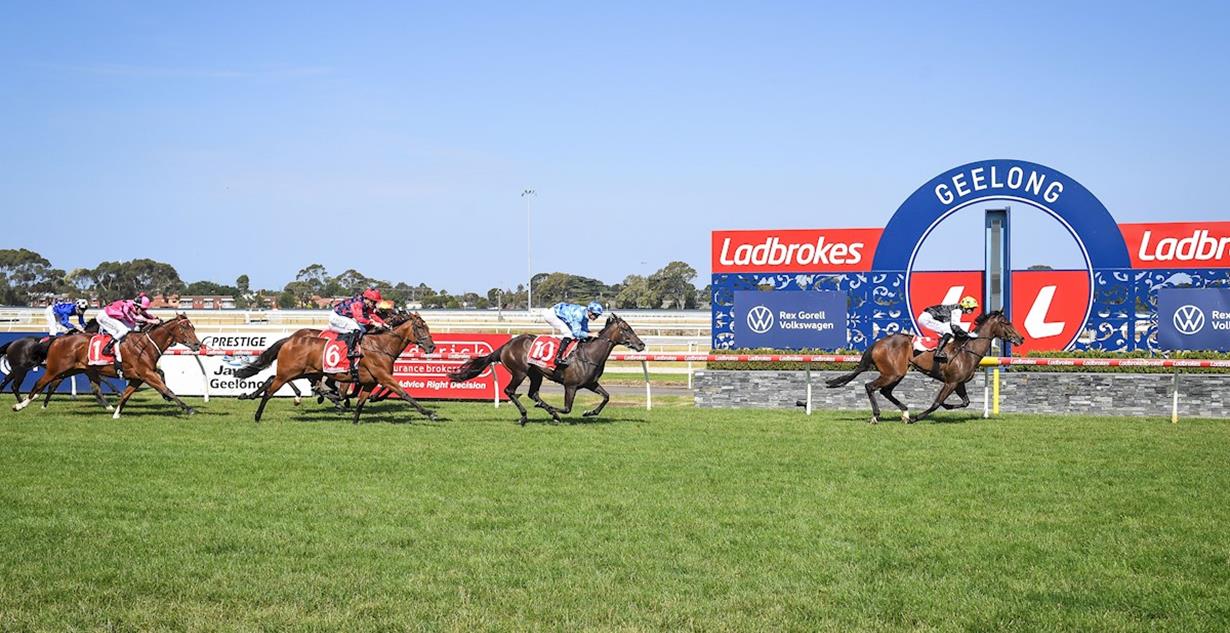 Celestial Zara - Geelong 14th January 2026